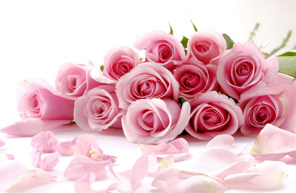 北(běi)京高(gāo)端網站(zhàn)建設公司-布谷鮮花(huā)