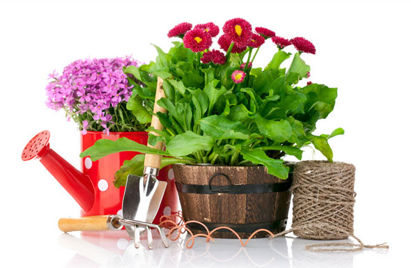 北(běi)京高(gāo)端網站(zhàn)建設公司-綠(lǜ)友(yǒu)在線