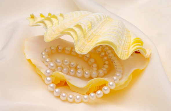 北(běi)京高(gāo)端網站(zhàn)建設公司-西(xī)京金(jīn)行(xíng)