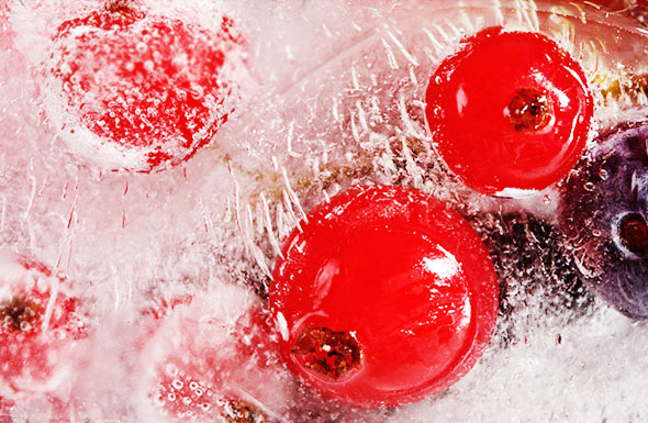 北(běi)京高(gāo)端網站(zhàn)建設公司-蓬萊市(shì)鴻昌商貿有(yǒu)限公司