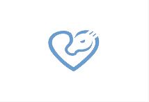 北(běi)京高(gāo)端網站(zhàn)建設公司-想象力案例